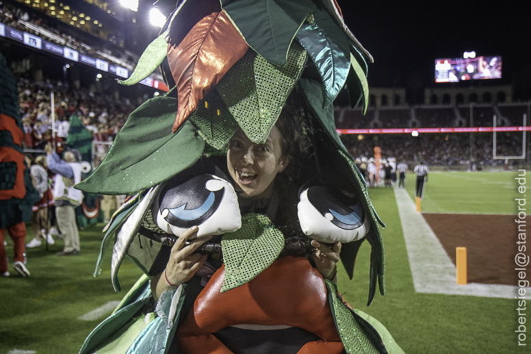 Stanford Homecoming 2023